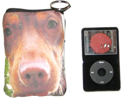 Electra iTote Photo Bag